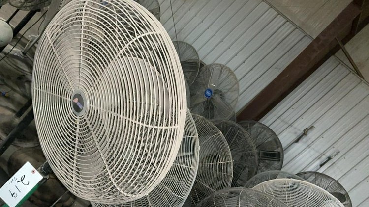 Floor Model Fans