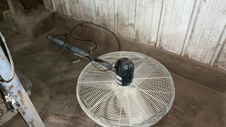 Floor Model Fans