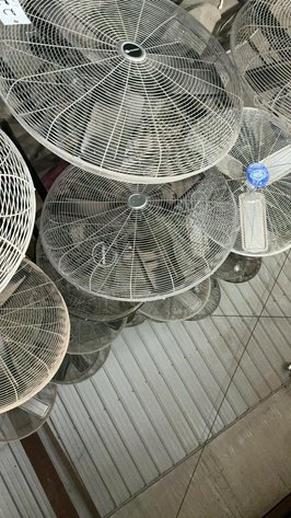 Floor Model Fans