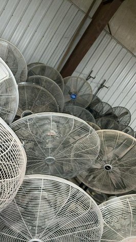 Floor Model Fans