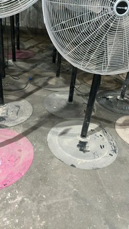Floor Model Fans