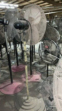 Floor Model Fans