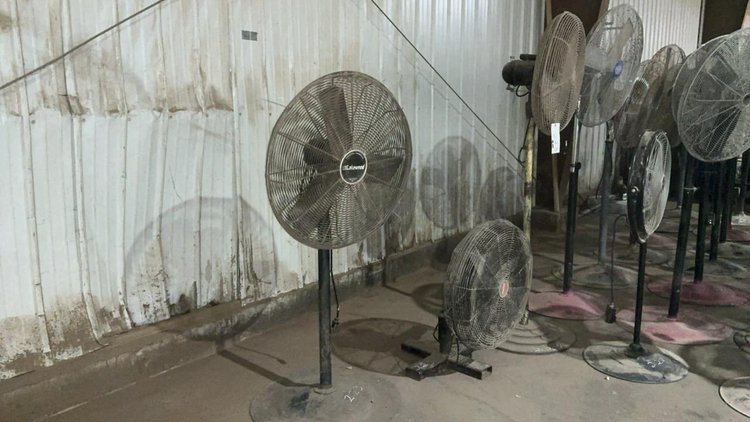 Floor Model Fans
