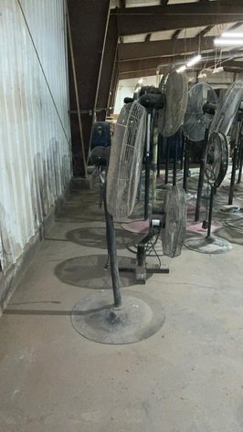 Floor Model Fans