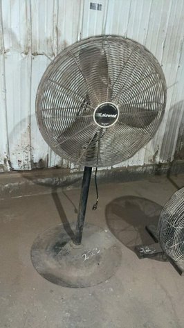 Floor Model Fans
