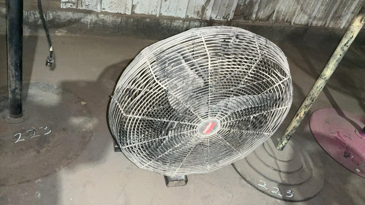 Floor Model Fans