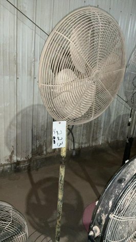 Floor Model Fans