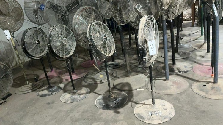 Floor Model Fans