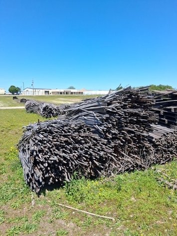Firewood