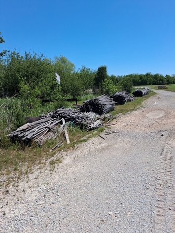 Firewood
