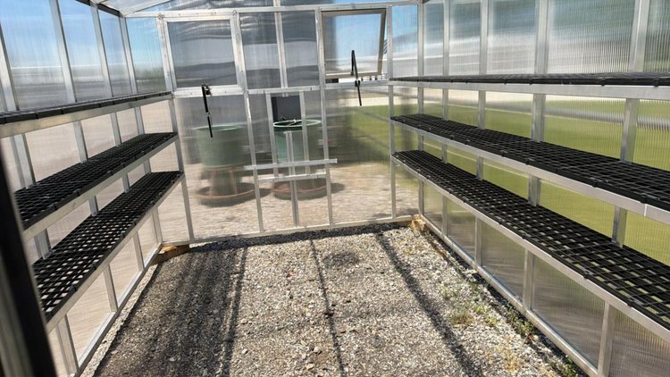 8x12 greenhouse