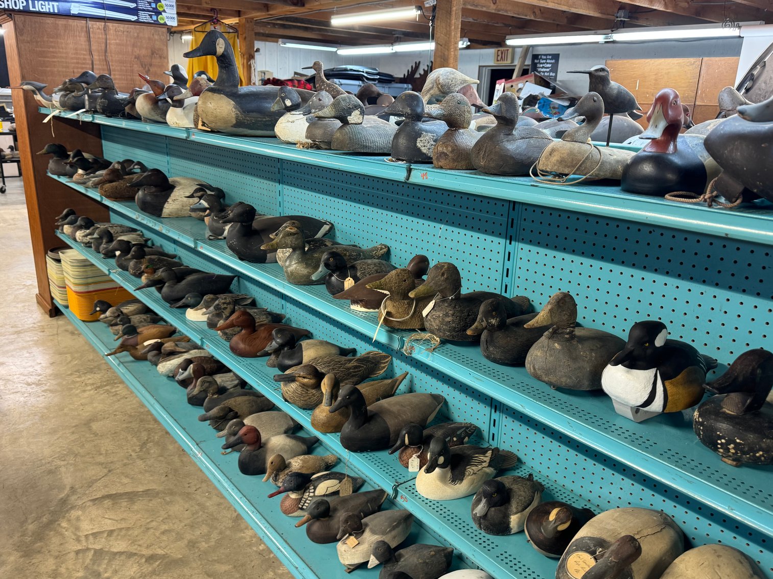 Image for NEXT DECOY AUCTION - COMING SOON