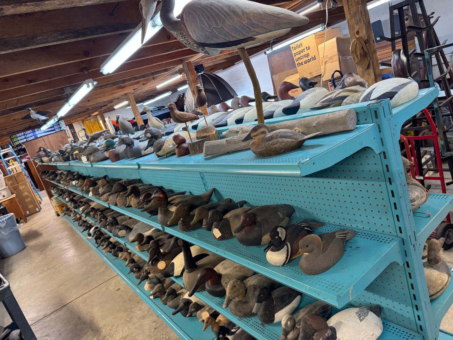 Image for NEXT DECOY AUCTION - COMING SOON