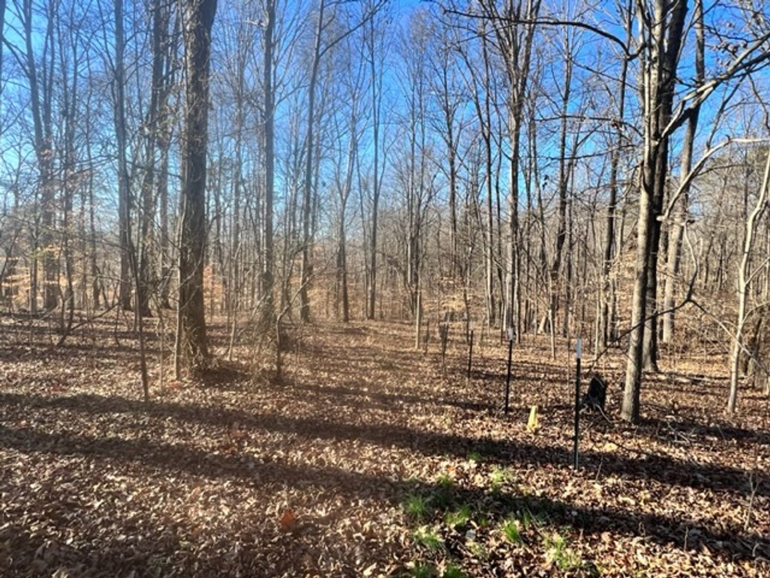Image for 112 Hardwood Circle-COURT ORDERED REAL ESTATE