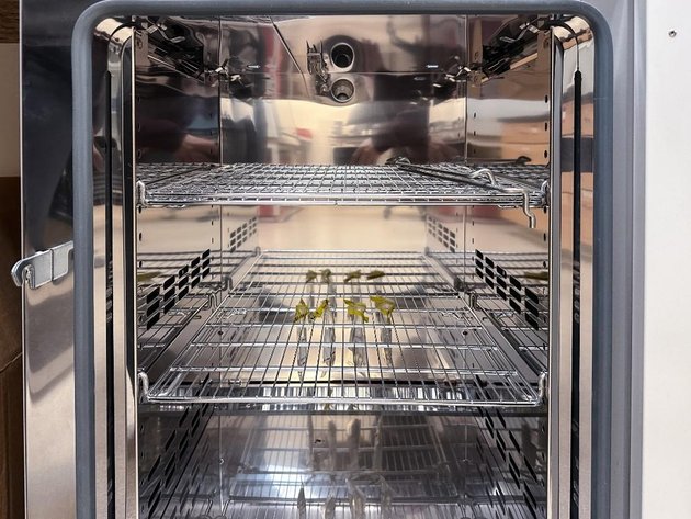 Image for Thermo Scientific Heratherm Oven