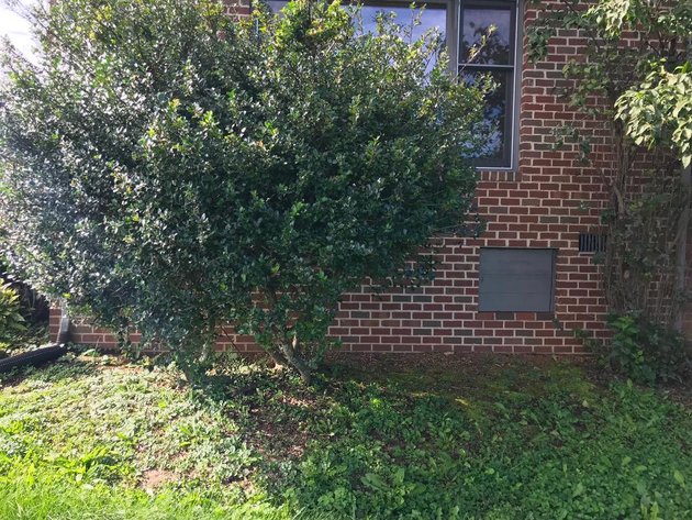 Image for Building Salvage Auction