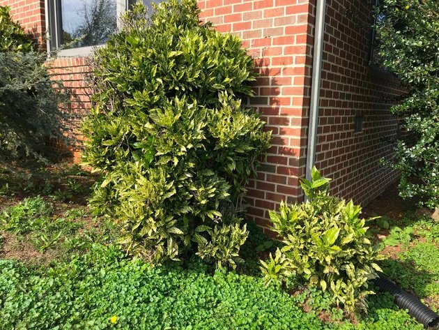 Image for Building Salvage Auction