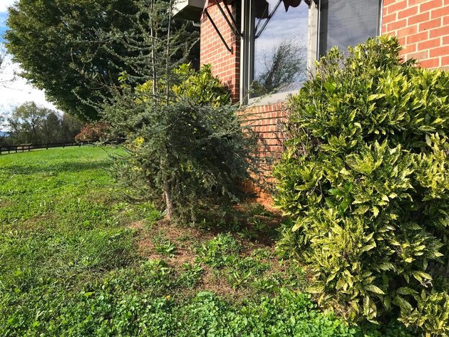 Image for Building Salvage Auction