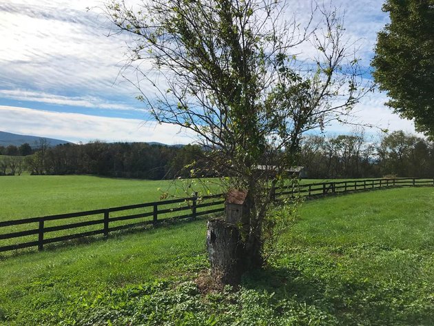 Image for Building Salvage Auction