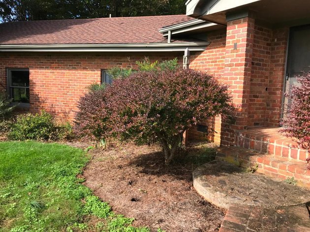 Image for Building Salvage Auction