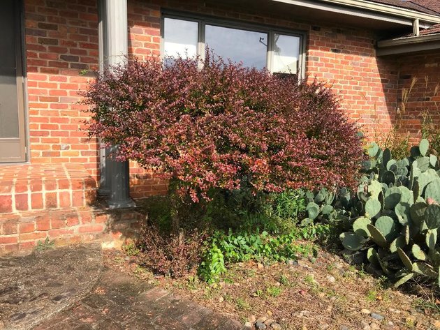 Image for Building Salvage Auction