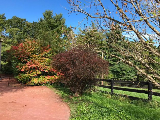 Image for Building Salvage Auction