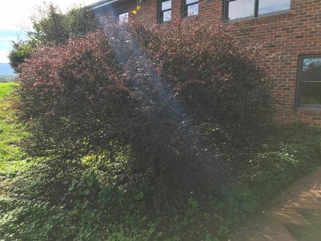 Image for Building Salvage Auction