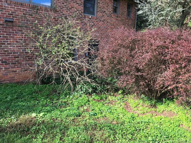 Image for Building Salvage Auction