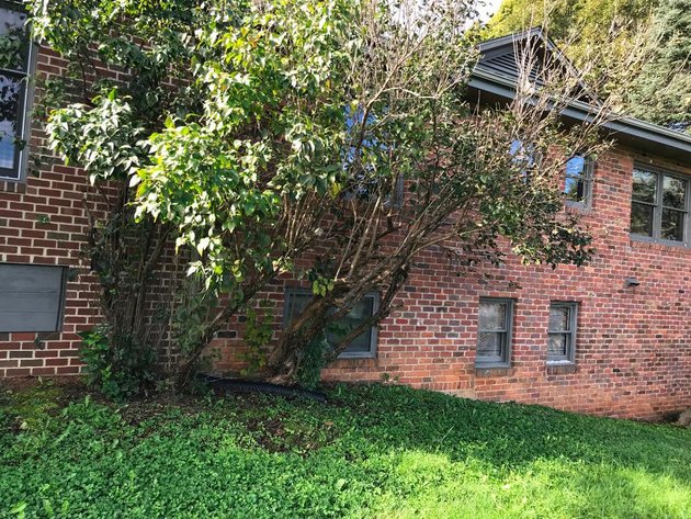 Image for Building Salvage Auction