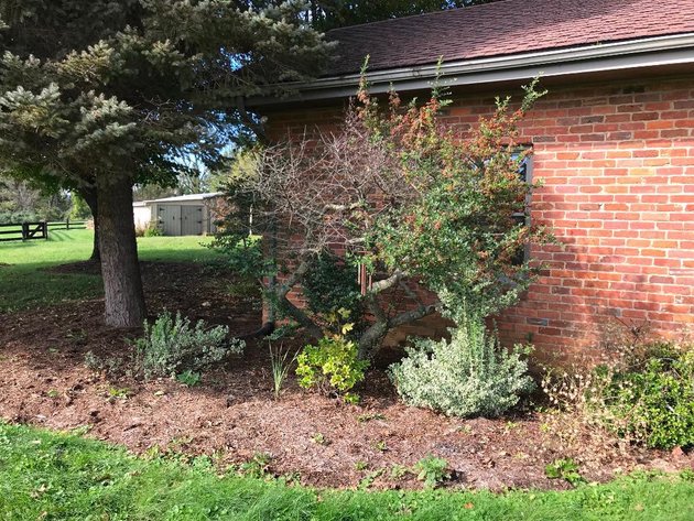 Image for Building Salvage Auction