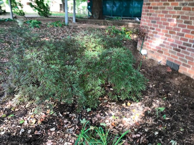 Image for Building Salvage Auction