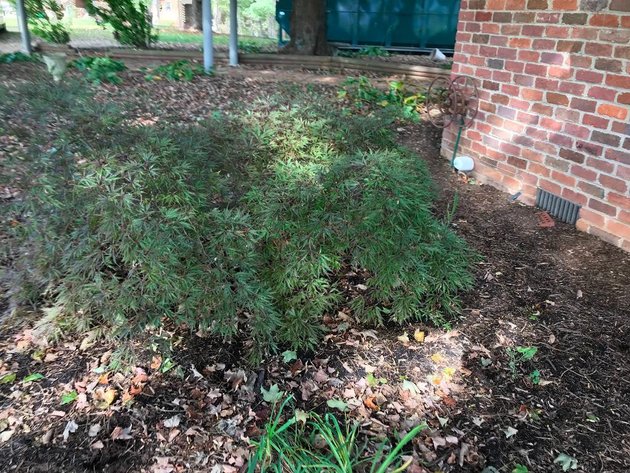 Image for Building Salvage Auction