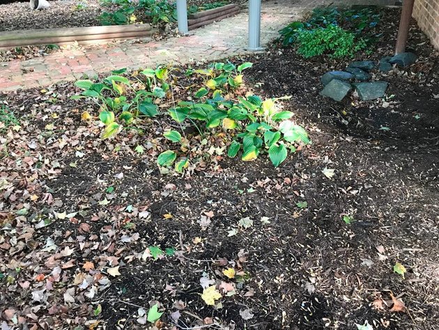 Image for Building Salvage Auction