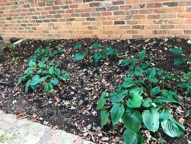 Image for Building Salvage Auction