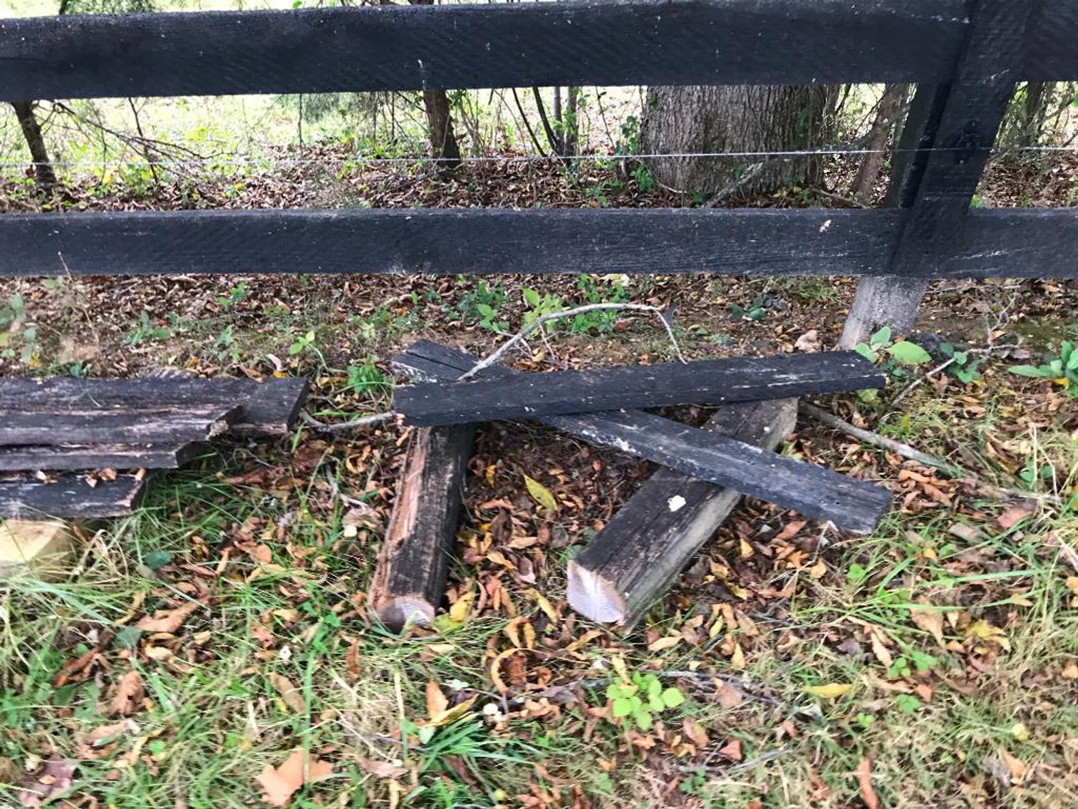 Image for Home and Shop Cleanout