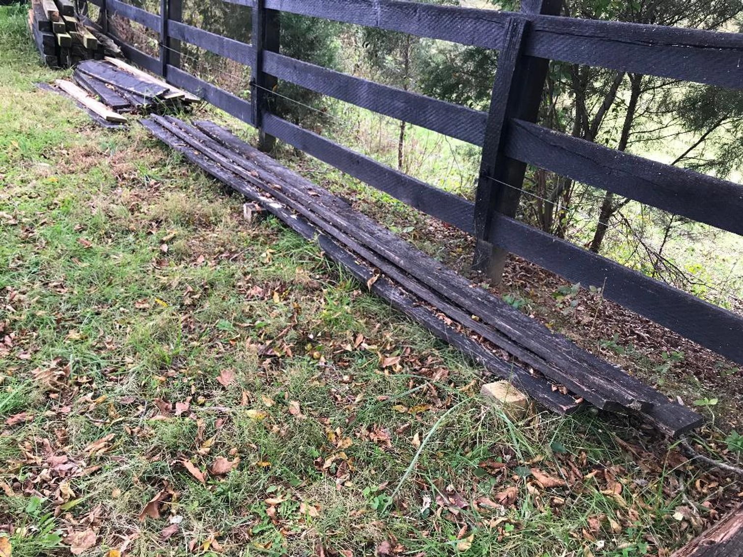 Image for Home and Shop Cleanout