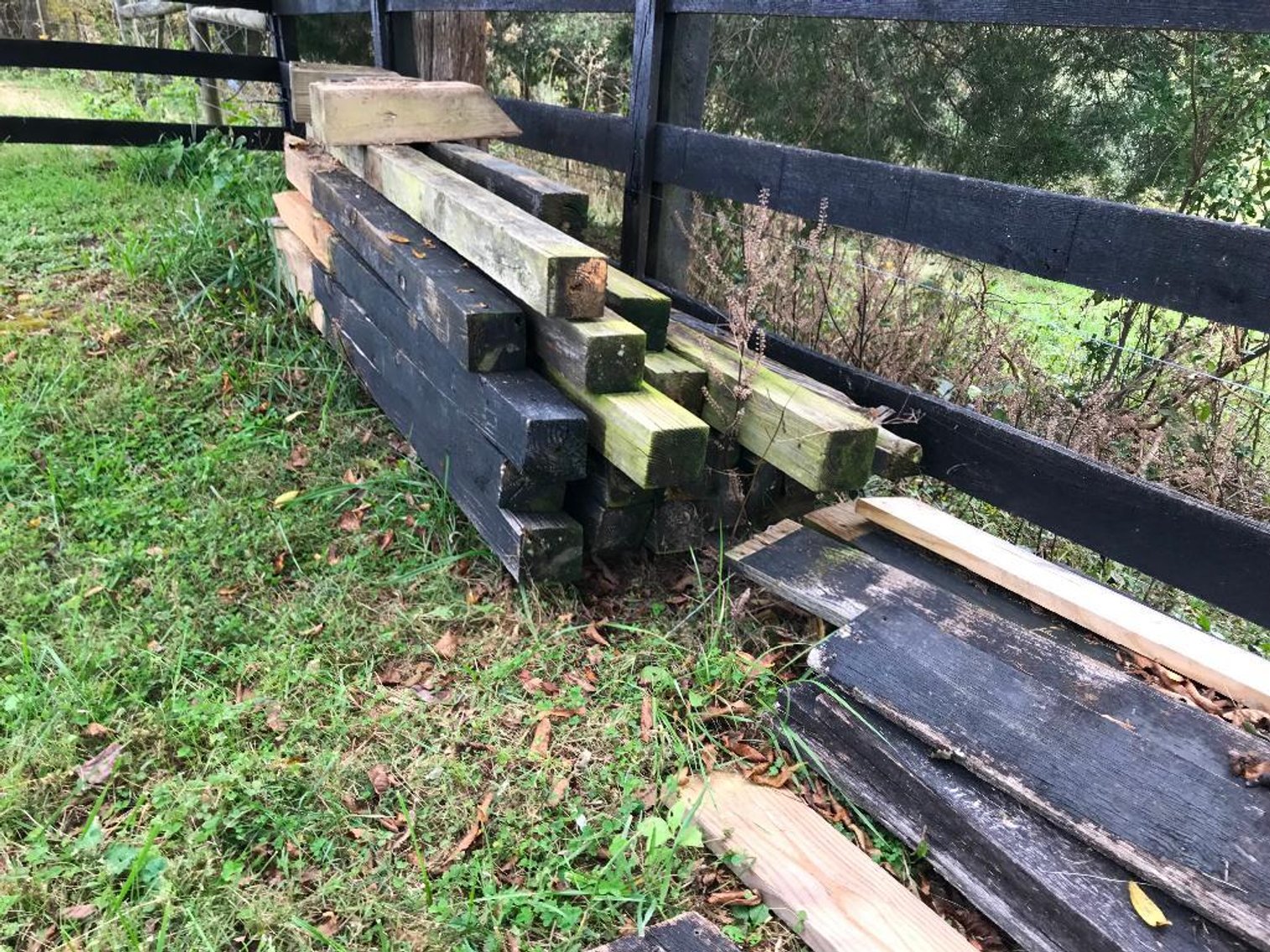 Image for Home and Shop Cleanout