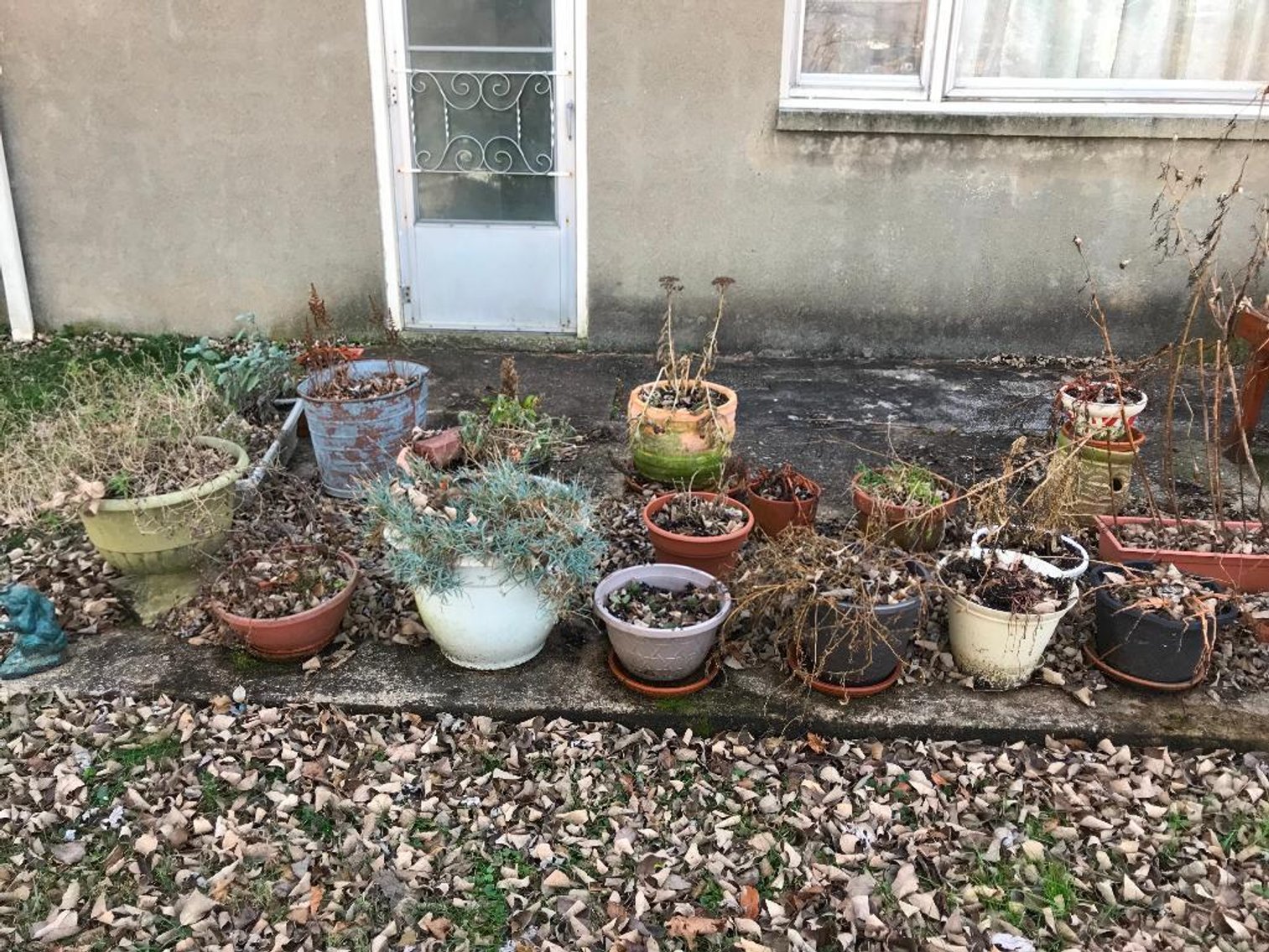 Image for Wholesale Estate