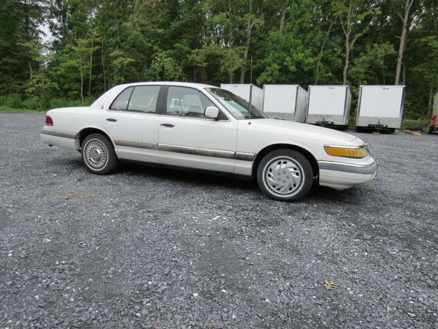 Image for Cold Springs Gallery