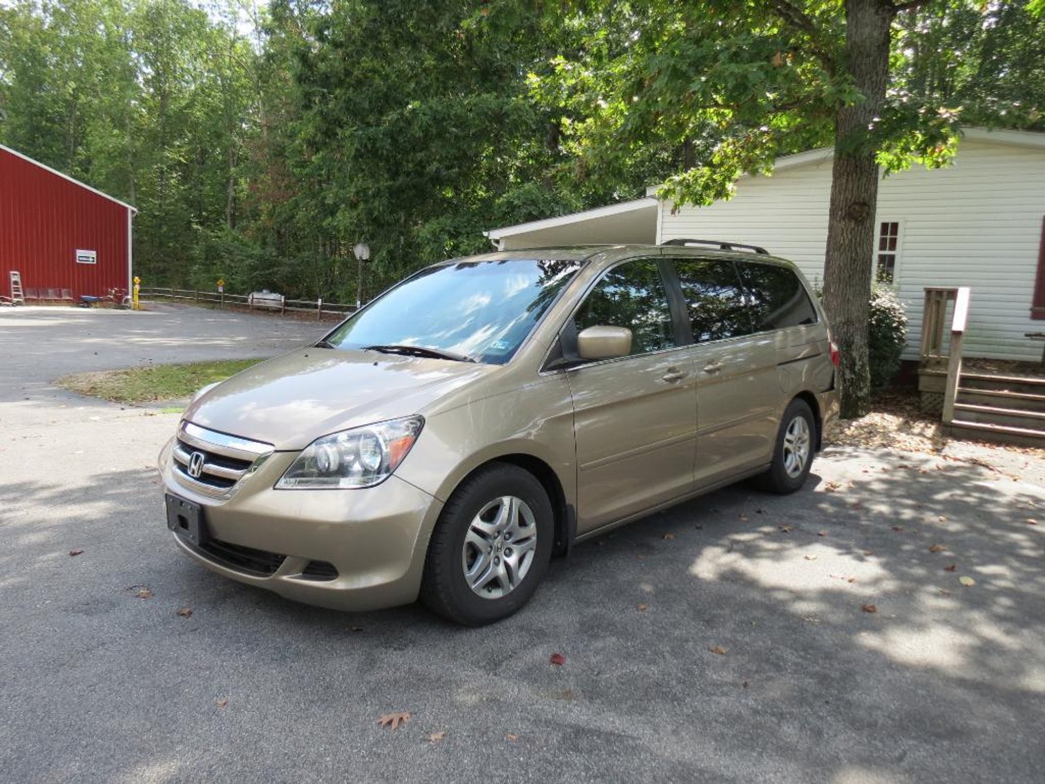 Image for Cold Springs Gallery