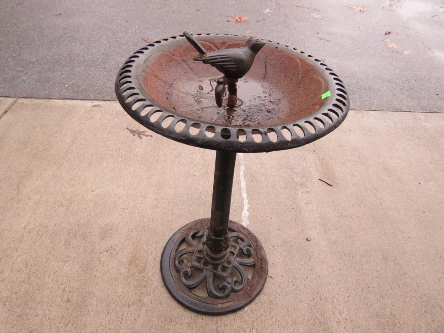 Image for Cold Springs Gallery