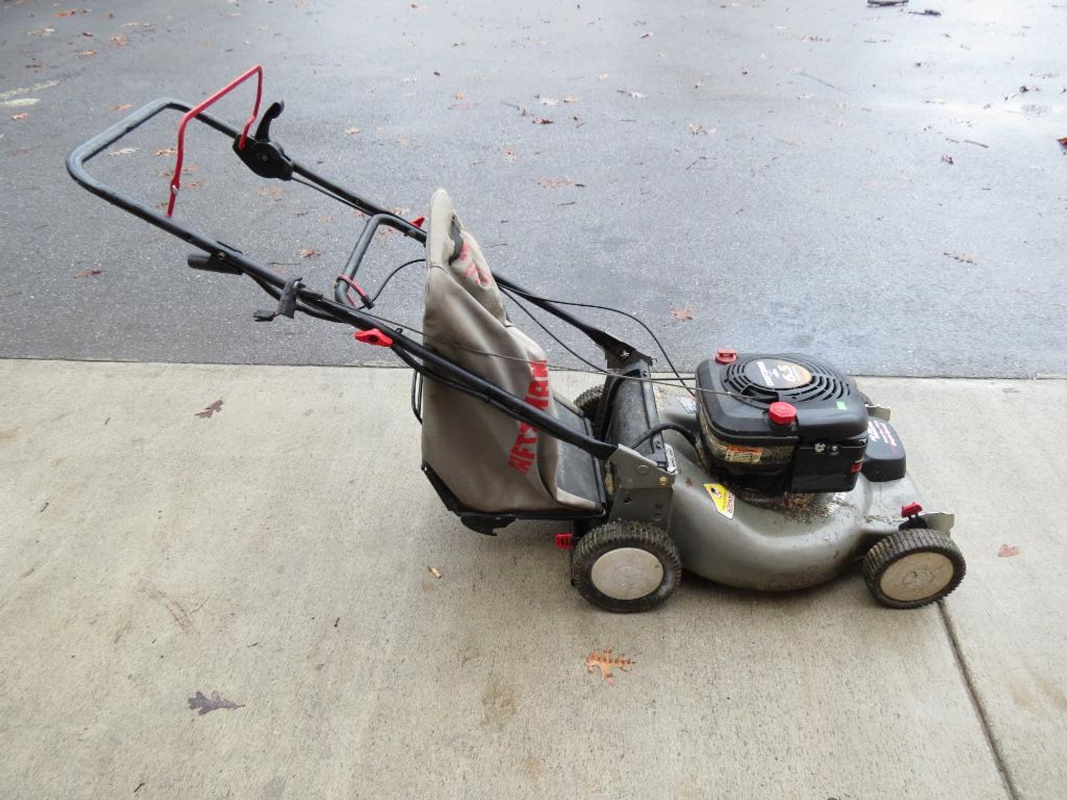 Image for Cold Springs Gallery