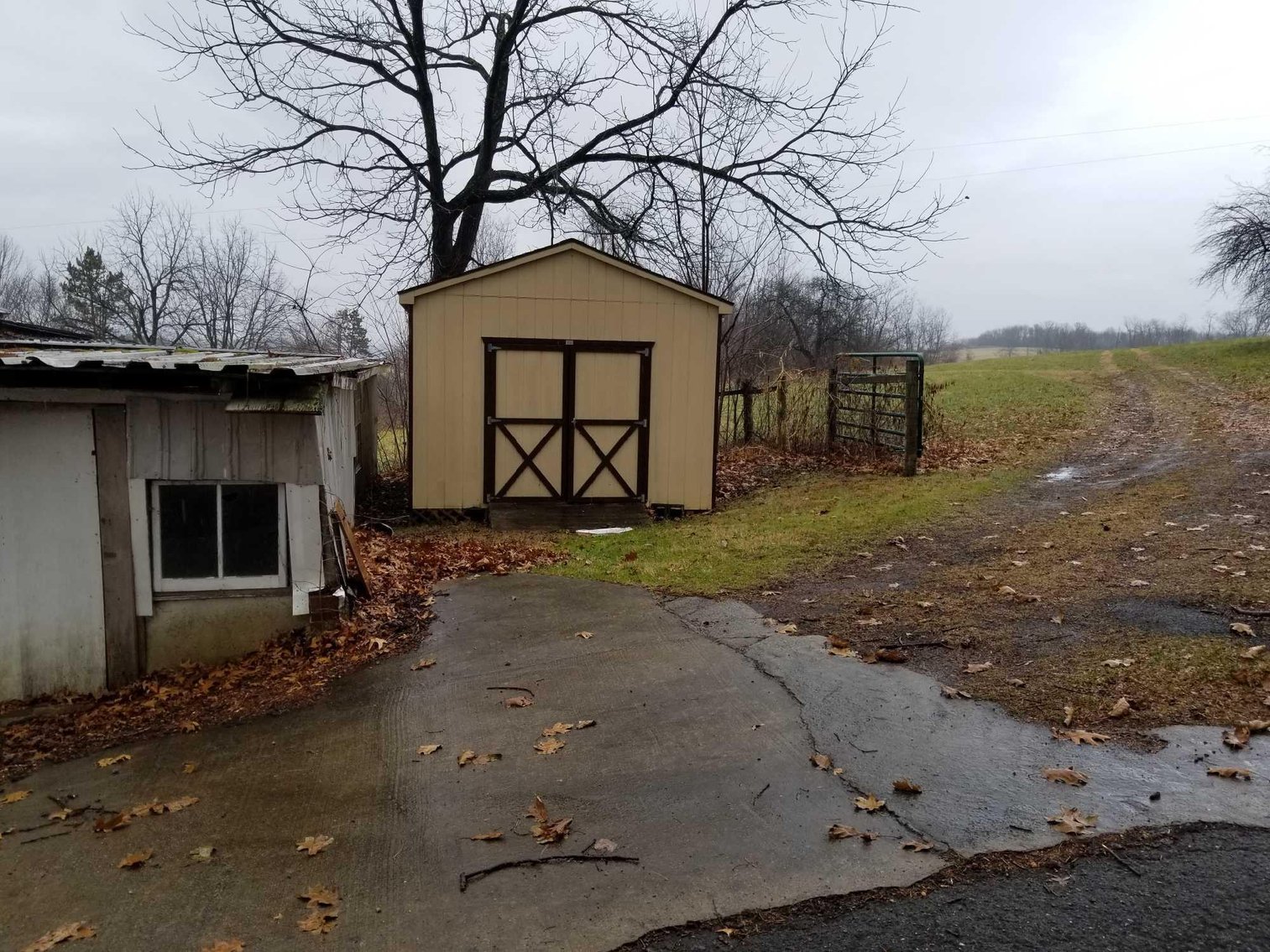 Image for 12x20 Millers Storage Building