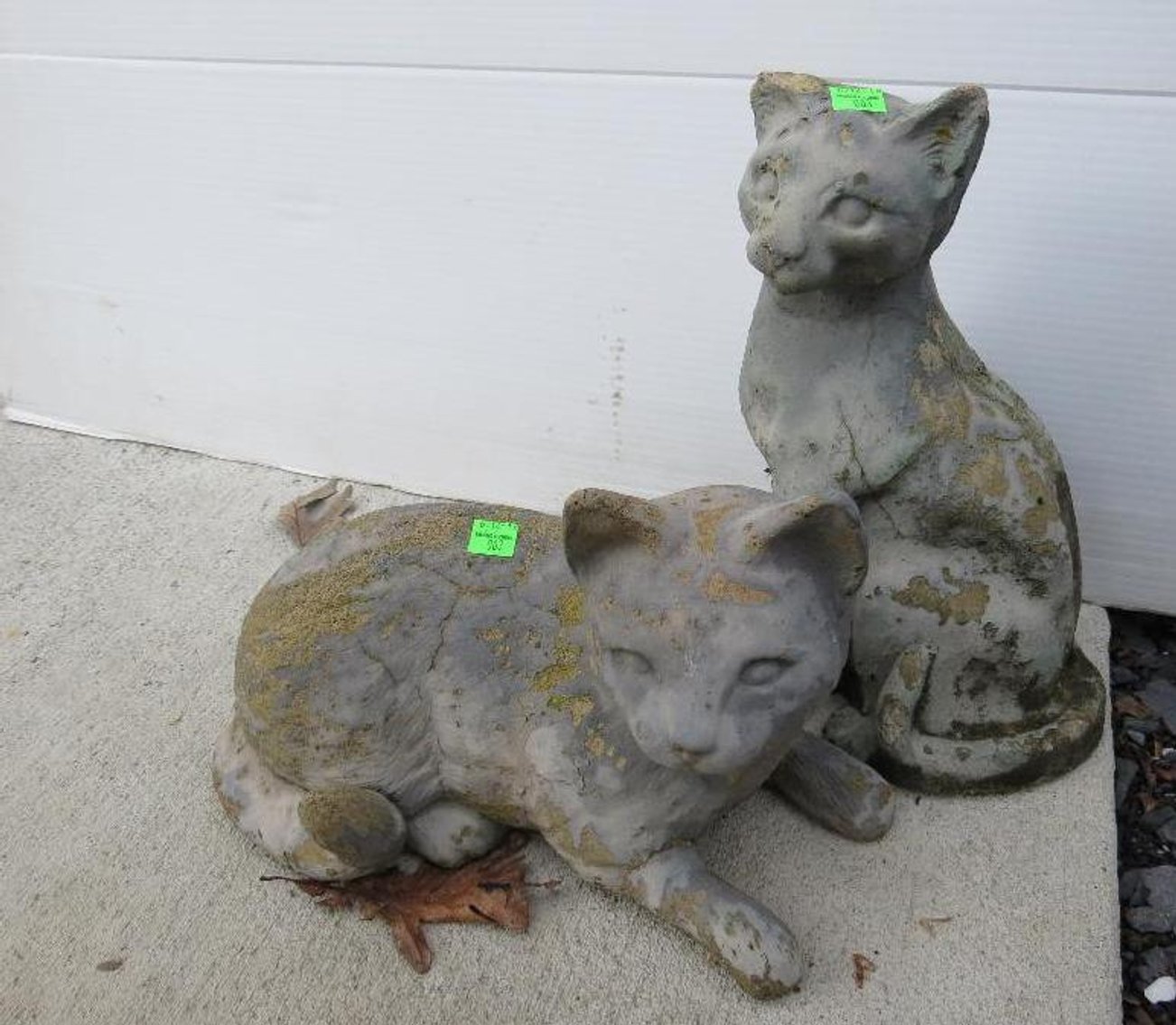 Image for Cold Springs Gallery