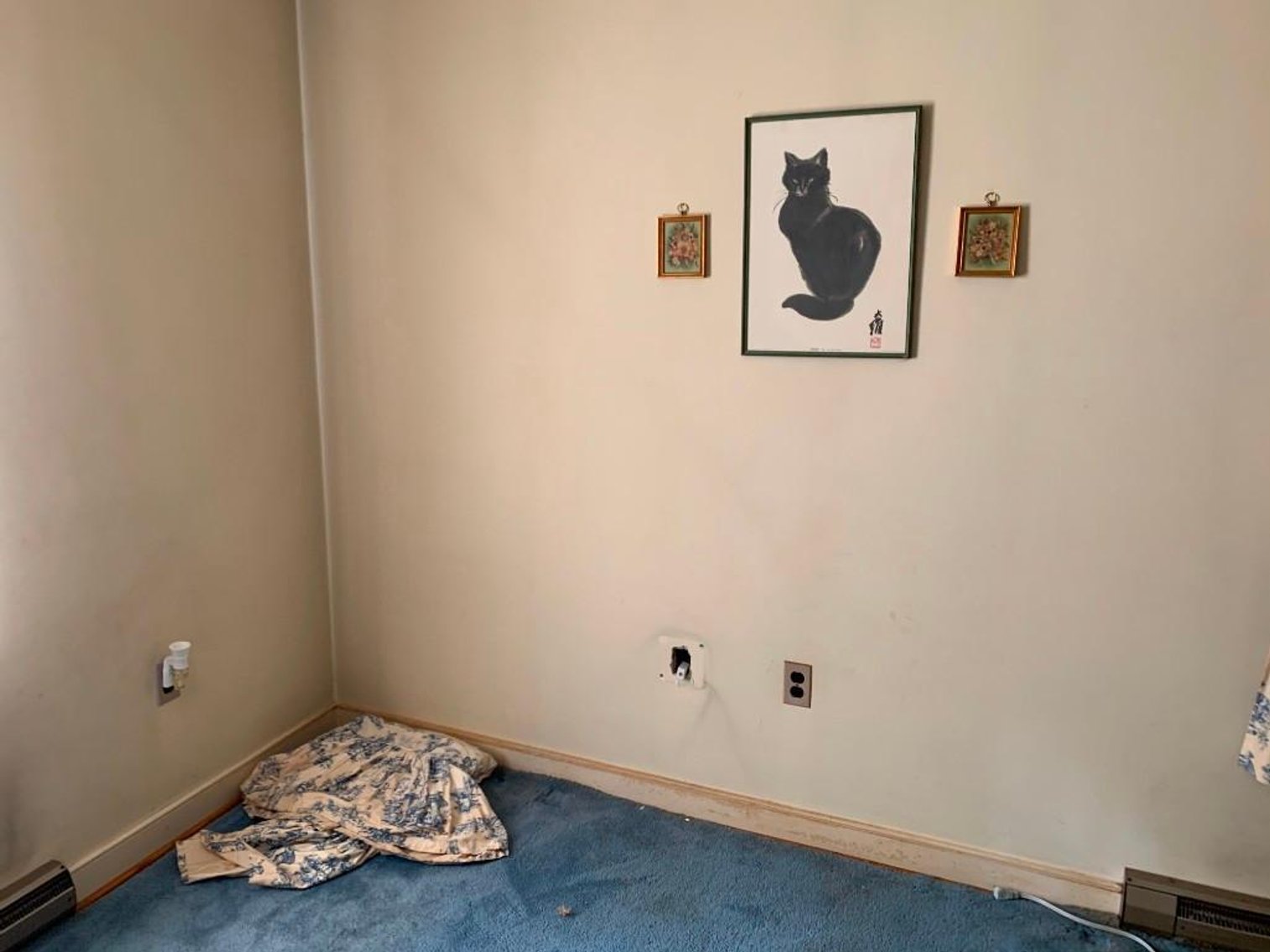 Image for Wholesale Auction, Charlottesville