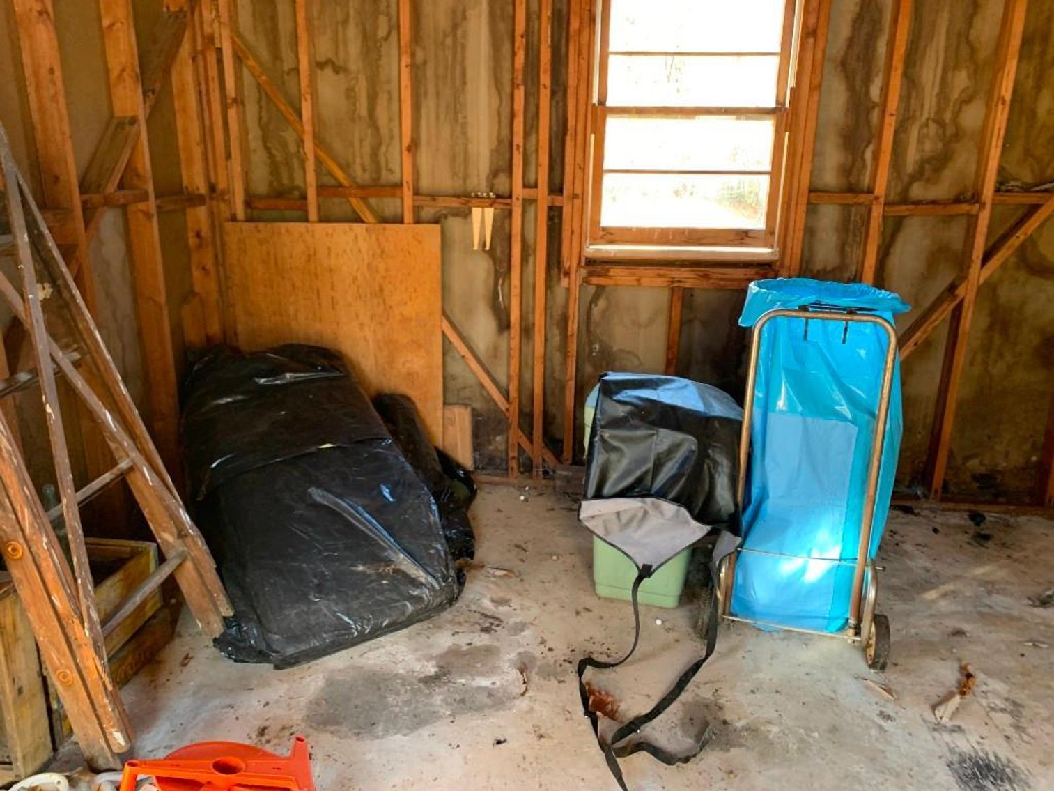 Image for Wholesale Auction, Charlottesville