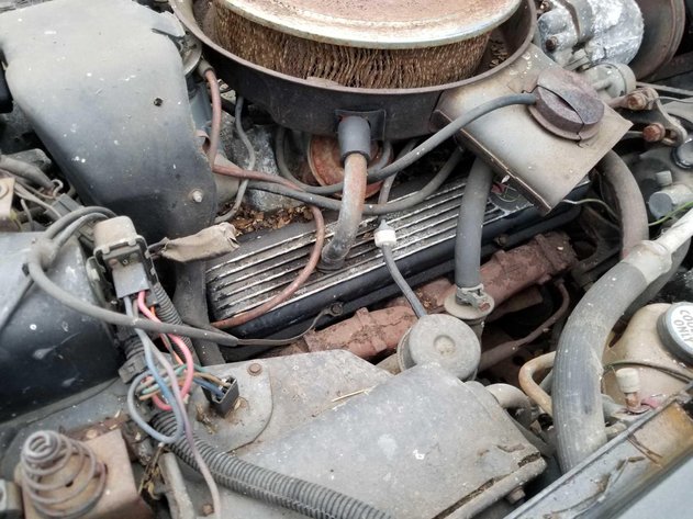 Image for 1978 Corvette L-82