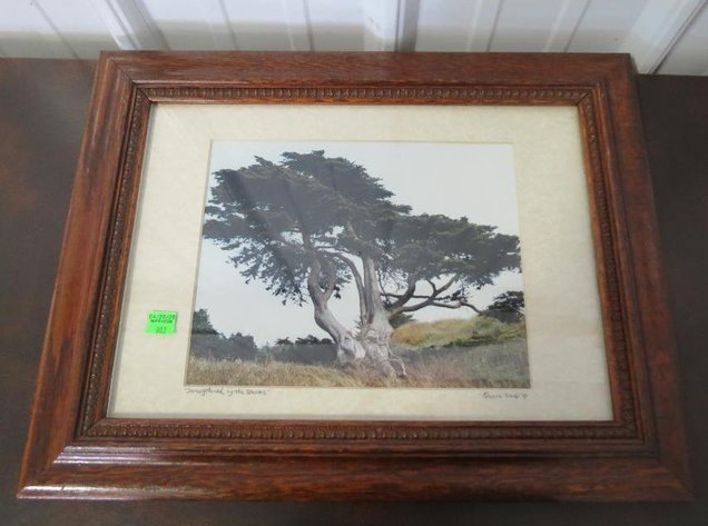 Image for Tinkling Spring Gallery