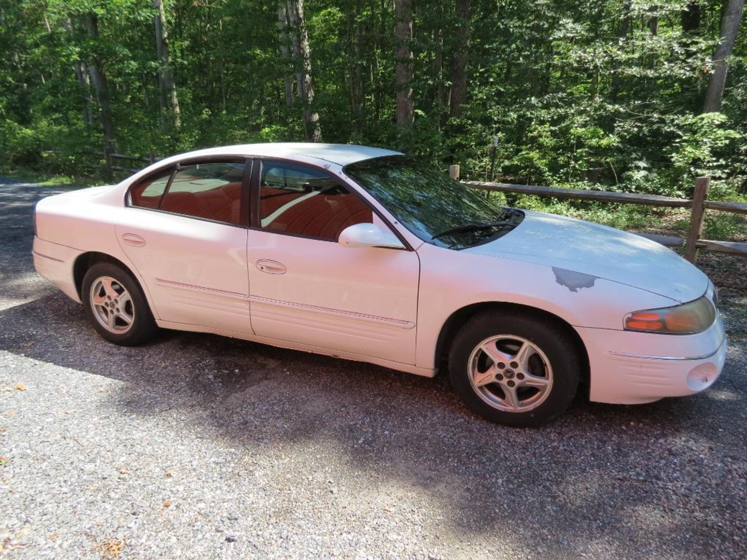 Image for Cold Springs Gallery