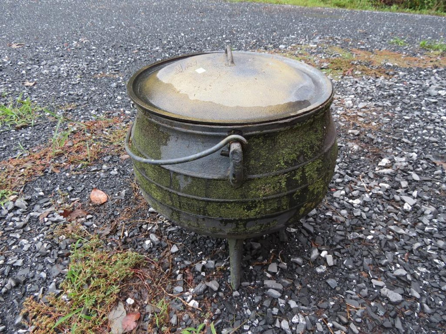 Image for Cold Springs Gallery